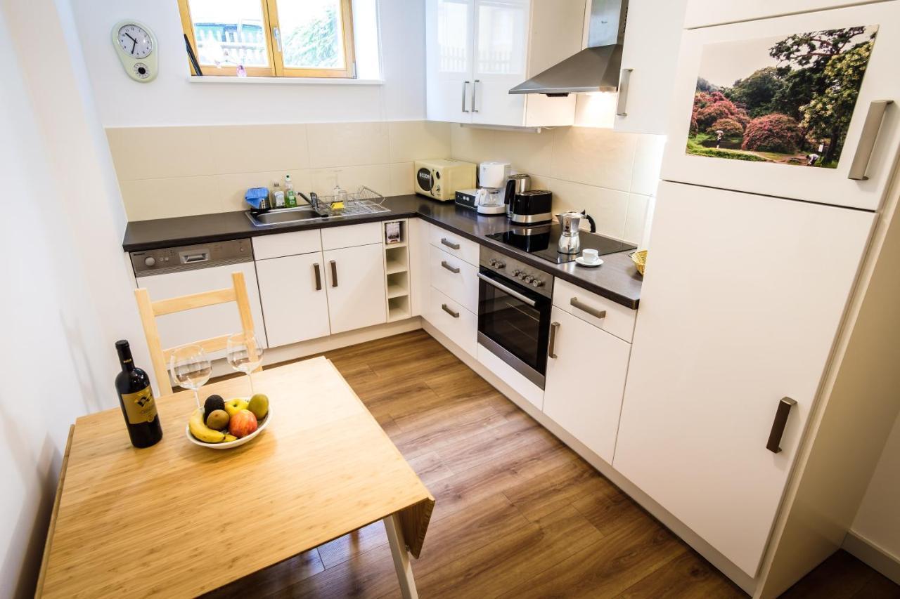 Wunderschoene Wohnung In Sanierter Villa! Incl Wifi Dresden Exterior photo